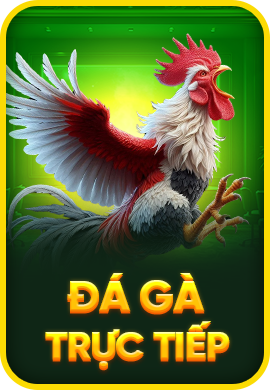 đá gà lu88