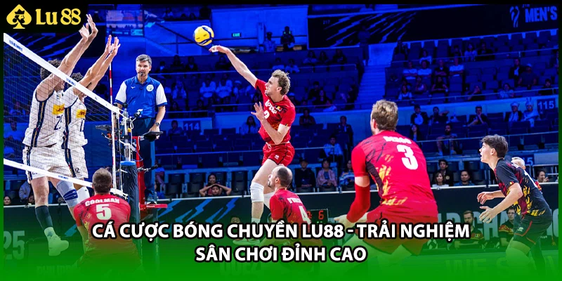 Cá Cược Bóng Chuyền LU88 - Trải Nghiệm Sân Chơi Đỉnh Cao