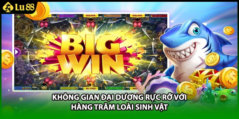 Không gian đại dương rực rỡ với hàng trăm loài sinh vật