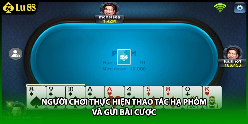 Người chơi thực hiện thao tác hạ phỏm và gửi bài cược